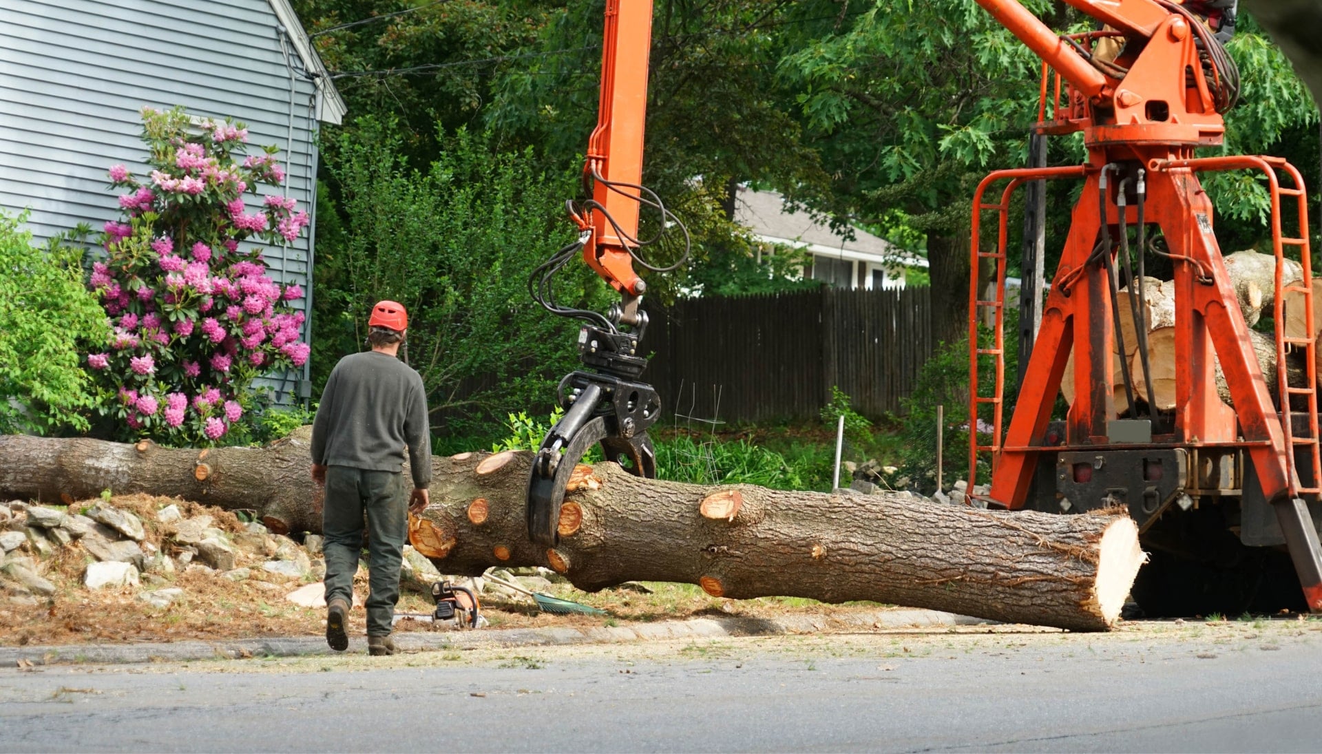 Heavy machinery is used to remove a tree after cutting in a Chandler, AZ yard.
