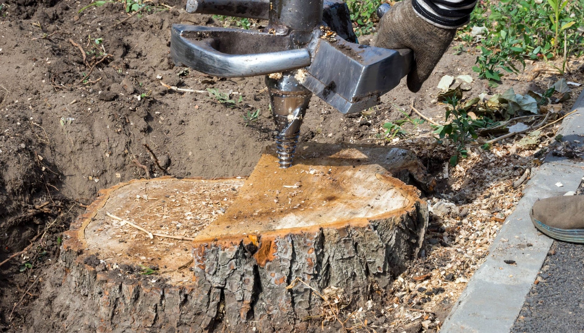A stump grinding machines makes the job easier during tree removal services on a Chandler, AZ property.